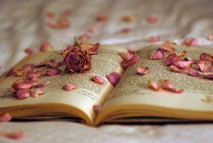 beautiful-book-creative-lol-roses-Favim.com-312669